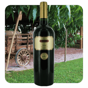 Bodegas Carrau Amat Tannat