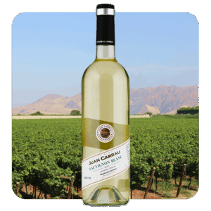 Bodegas Carrau Sauvignon Blanc