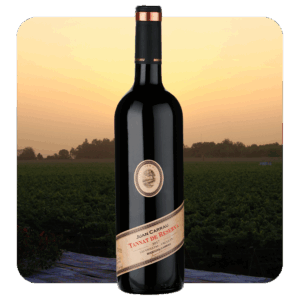 Bodegas Carrau Tannat Reserva