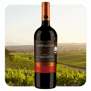 Cepas de Altura Cabernet Sauvignon