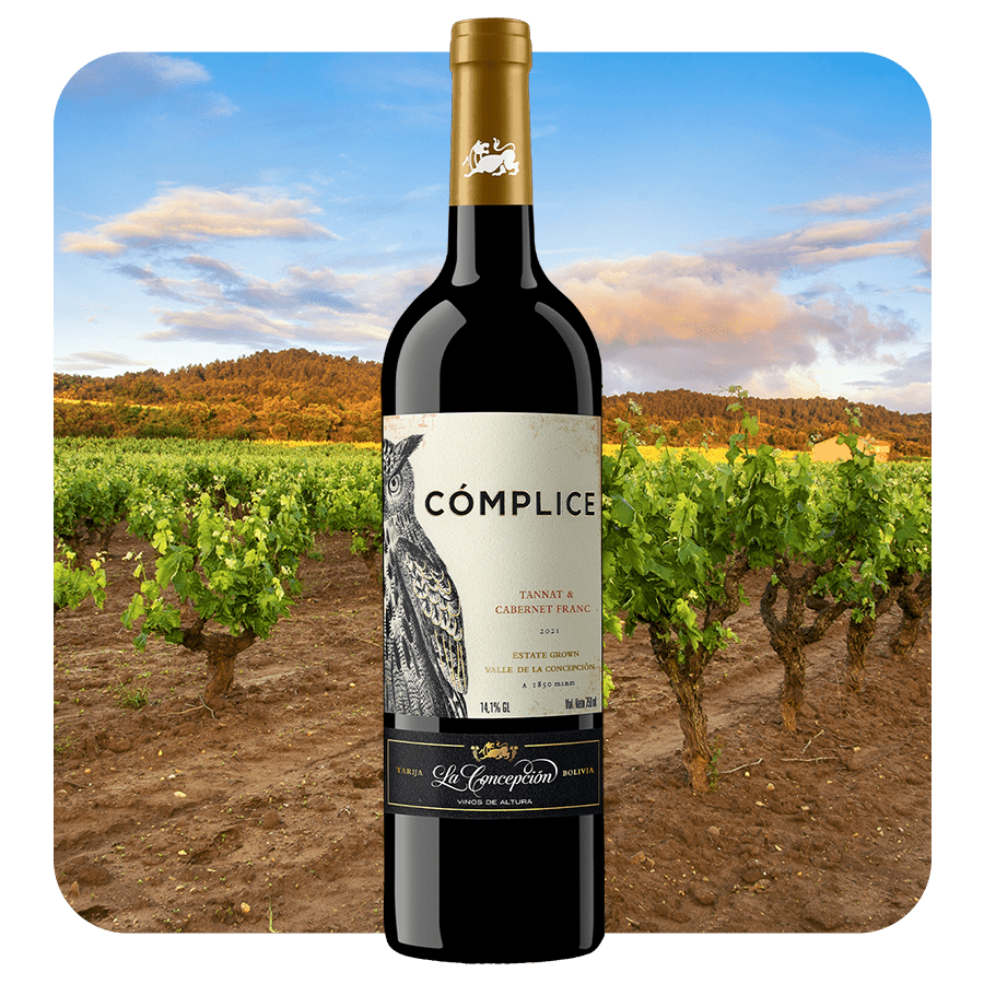 Complice Vino Tinto Blend