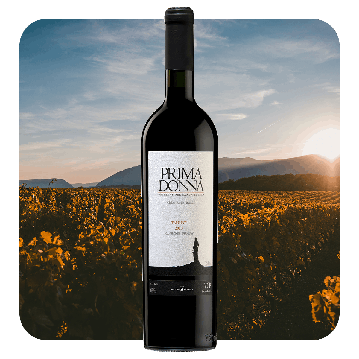 Prima Donna Tannat