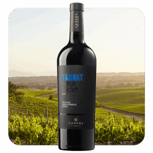 Campos de Solana Tannat