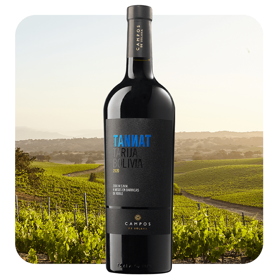 Campos de Solana Tannat