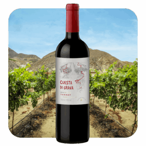 Cuesta di Grave Tannat