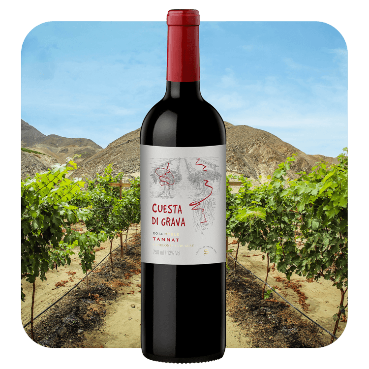 Cuesta di Grave Tannat