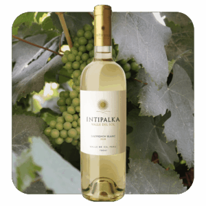 Intipalka Sauvignon Blanc