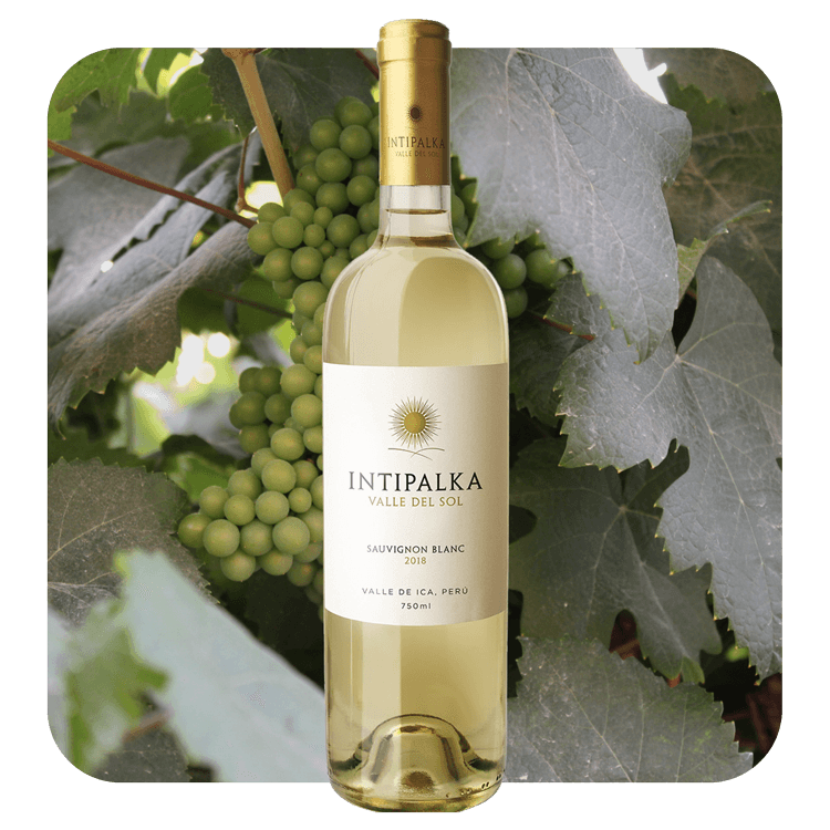 Intipalka Sauvignon Blanc