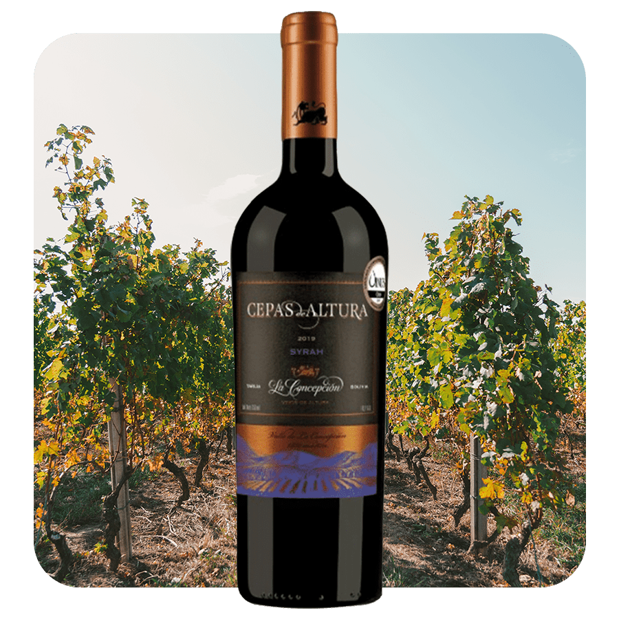 Cepas de Altura Syrah