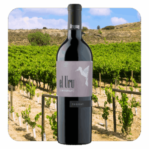 Bodega Terrazul El Uru