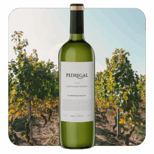 Pedregal Sauvignon Blanc