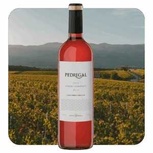 Pedregal Tannat-Rosé