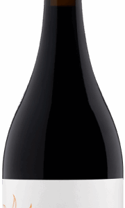 Pizzorno - Tannat Gouden Reserva